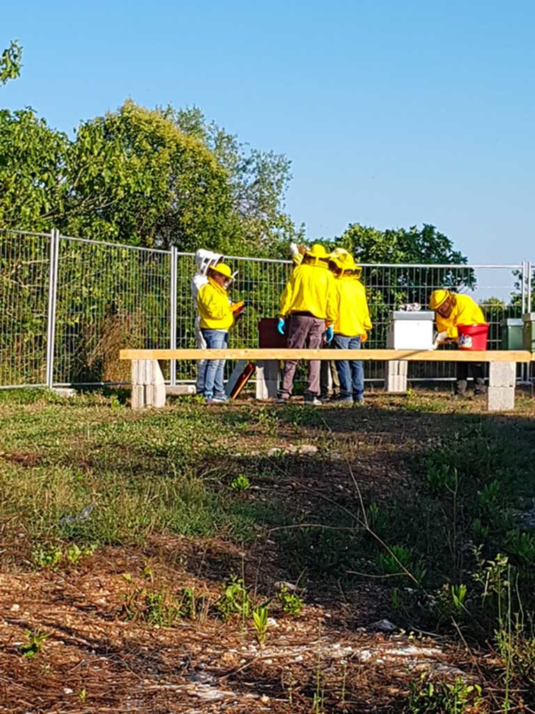 Cooperativa di comunità Melpignano  - Apiario sociale